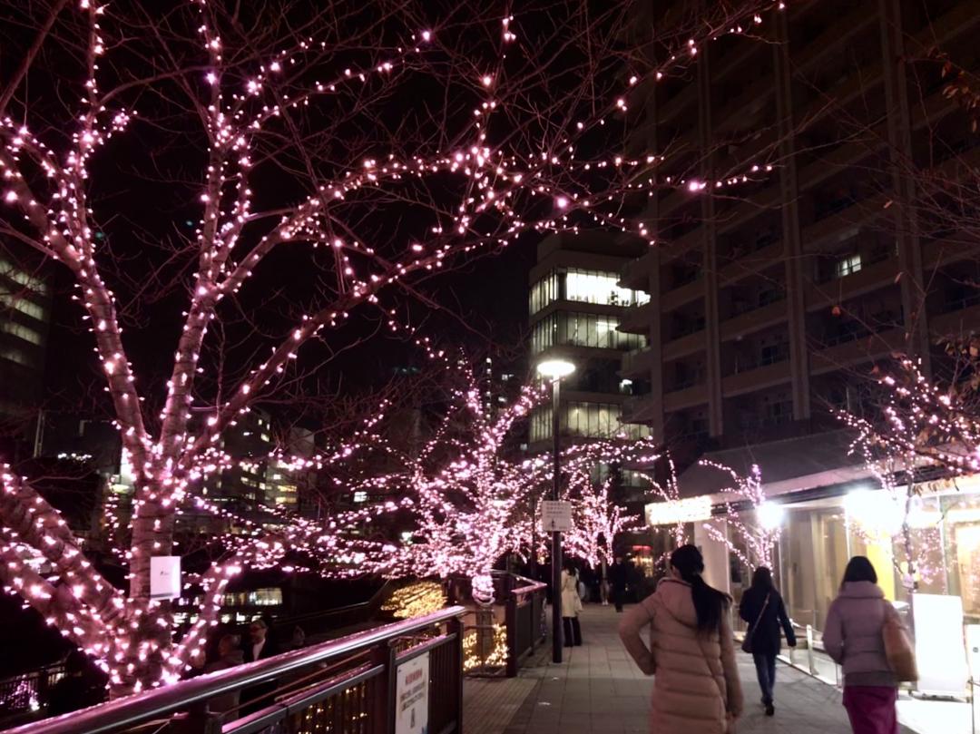 穴場 絶対に行きたいイルミネーションスポット 五反田マニア 004 Scramble スクランブル